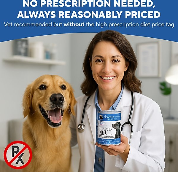 Dave's Pet Food Restricted Bland Diet Sensitive Stomach Digestive Care Chicken & Rice Canned Wet Dog Food