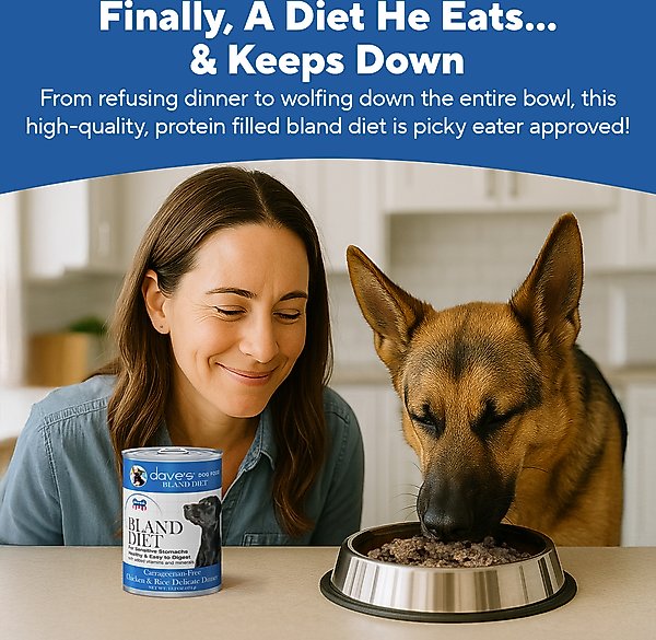 Dave's Pet Food Restricted Bland Diet Sensitive Stomach Digestive Care Chicken & Rice Canned Wet Dog Food