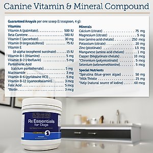 Rx Vitamins Rx Essentials Powder Multivitamin for Dogs, 8-oz bottle
