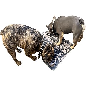 Piggy Poo and Crew Rooting Snuffle Pig Mat, Gray, 18 x 20-in