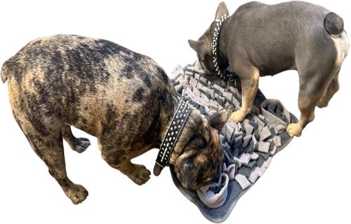 Show full view: Piggy Poo and Crew Rooting Snuffle Pig Mat, Gray, 18 x 20-in slide 3 of 5