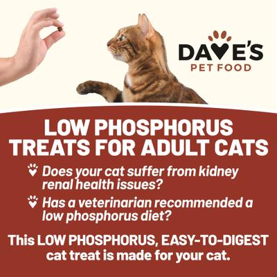 Show full view: Dave's Pet Food Renal-Friendly Sweet Potato Grain-Free Soft & Chewy Cat Treats, 3-oz bag slide 5 of 12