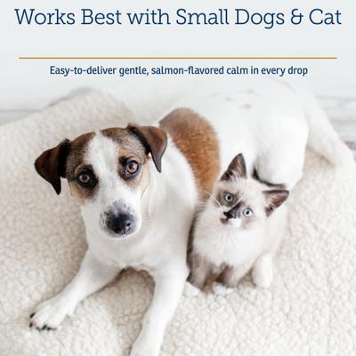 Show full view: Rx Vitamins NutriCalm Liquid Calming Supplement for Cats & Dogs, 4-fl oz bottle slide 7 of 8