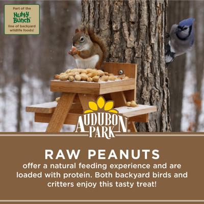 Show full view: Audubon Park Raw Peanuts Seed Wild Bird Food, 3-lb bag slide 4 of 9