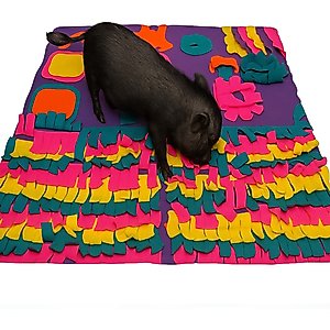 Piggy Poo and Crew Pig Rooting Snuffle Mat, Large
