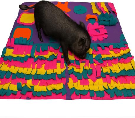Show full view: Piggy Poo and Crew Pig Rooting Snuffle Mat, Large slide 3 of 7