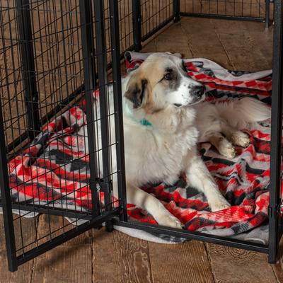 Show full view: Lucky Dog Black Welded Wire Panel Dog Kennel Accessory, Black, 6 x 5-ft slide 4 of 10