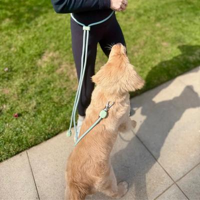 Show full view: Pistachio Brands Hands-Free Dog Leash, Pistachio slide 2 of 2