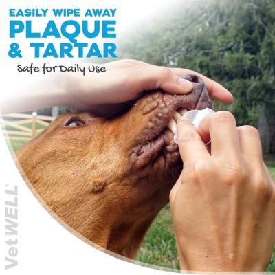 Show full view: VetWELL Zymadent Dog & Cat Dental Wipes, 50 count slide 4 of 9