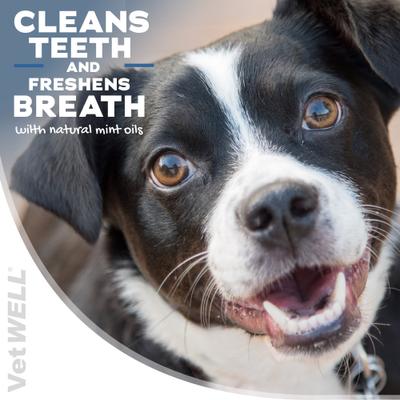 Show full view: VetWELL Zymadent Dog & Cat Dental Wipes, 50 count slide 3 of 9