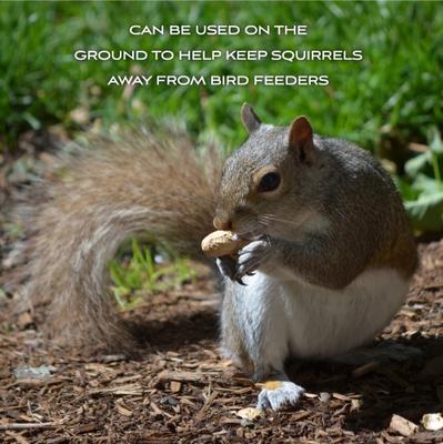 Show full view: Pennington Classic In Shell Peanuts Wild Bird Food Treats, 5-lb bag slide 5 of 11