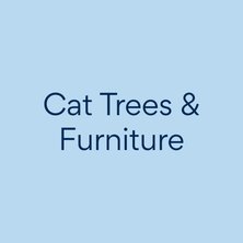 beds & cat trees