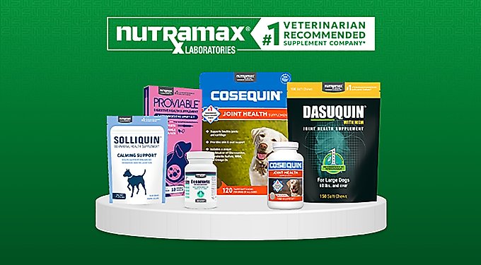Nutramax Dasuquin Hip & Joint Soft Chews Joint Supplement for Large Dogs
