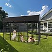 Show in main carousel: BingoPaw Outdoor Dog & Cat Kennel with Cover, Black, Large slide 3 of 7