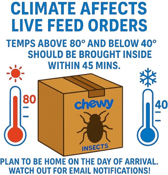 Show full view: Feeder Insects Live Crickets Reptile Food, Medium, 60 count slide 2 of 5
