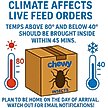 Show in main carousel: Feeder Insects Live Crickets Reptile Food, Medium, 60 count slide 2 of 5