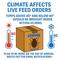 Show in main carousel: Feeder Insects Live Crickets Reptile Food, Medium, 120 count slide 2 of 6