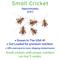 Show in main carousel: Feeder Insects Live Crickets Reptile Food, Small, 120 count slide 3 of 6