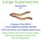 Show in main carousel: Feeder Insects Live Superworm Reptile Food, Large, 500 count slide 3 of 6