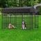 Show in main carousel: BingoPaw Outdoor Dog & Cat Kennel with Cover, Black, Large slide 4 of 8