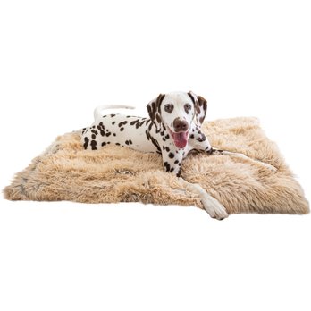 DOG BLANKETS FOR SMALL DOGS (Free Shipping) Chewy