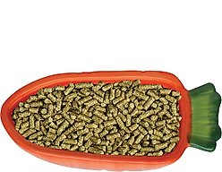 Kaytee Vege-T-Bowl Carrot Small Pet Bowl, 22-oz slide 2 of 4