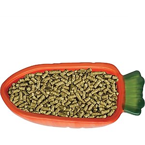 Kaytee Vege-T-Bowl Carrot Small Pet Bowl, 22-oz