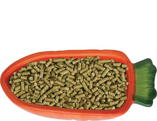 Show full view: Kaytee Vege-T-Bowl Carrot Small Pet Bowl, 22-oz slide 4 of 5