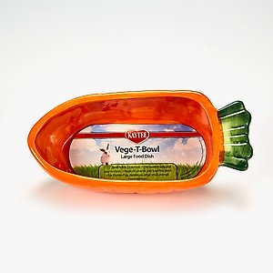 Kaytee Vege-T-Bowl Carrot Small Pet Bowl, 22-oz