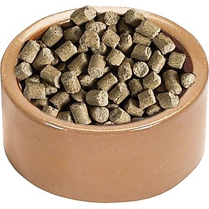 Kaytee Stoneware Pet Bowl, Blue & Tan, 5-in