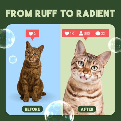 Show full view: TropiClean Gentle Coconut Hypoallergenic Cat Shampoo, 12-fl oz bottle slide 7 of 11