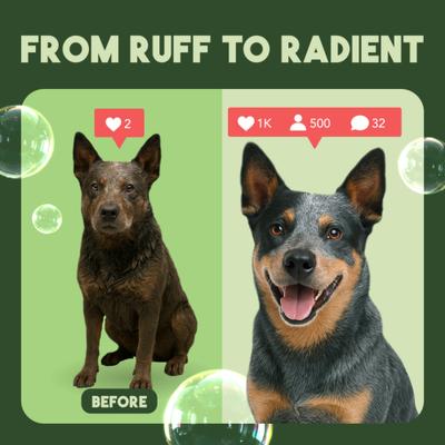 Show full view: TropiClean Deodorizing Aloe & Coconut Dog & Cat Shampoo, 20-fl oz bottle slide 7 of 10