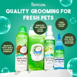 TropiClean Medicated Itchy Skin Relief Oatmeal & Tea Tree Dog Shampoo, 20-fl oz bottle