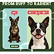 Show in main carousel: TropiClean Medicated Itchy Skin Relief Oatmeal & Tea Tree Dog Shampoo, 20-fl oz bottle slide 7 of 12