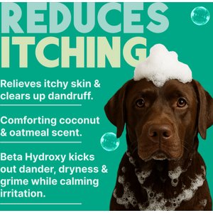 TropiClean Medicated Itchy Skin Relief Oatmeal & Tea Tree Dog Shampoo, 20-fl oz bottle