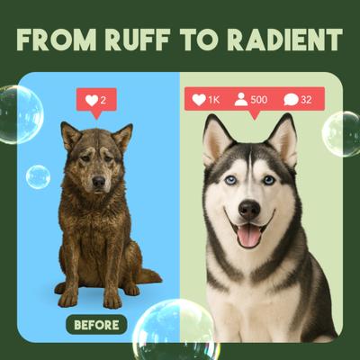 Show full view: TropiClean Lime & Coconut Deshedding Dog Shampoo, 2.5-gal bottle slide 6 of 11