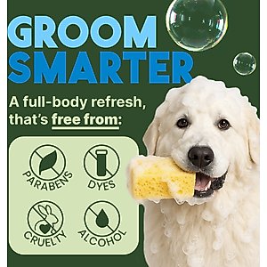 TropiClean Deshedding & Moisturizing Dog Conditioner, Lime & Cocoa Butter Scent, 20-fl oz bottle