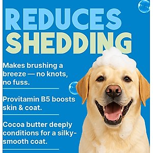 TropiClean Deshedding & Moisturizing Dog Conditioner, Lime & Cocoa Butter Scent, 20-fl oz bottle