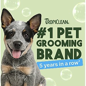 TropiClean Hypo-Allergenic Gentle Coconut Puppy & Kitten Shampoo, 20-fl oz bottle