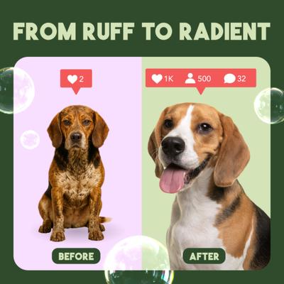 Show full view: TropiClean Kiwi & Cocoa Butter Detangling & Moisturizing Dog Conditioner, 1-gal slide 6 of 11