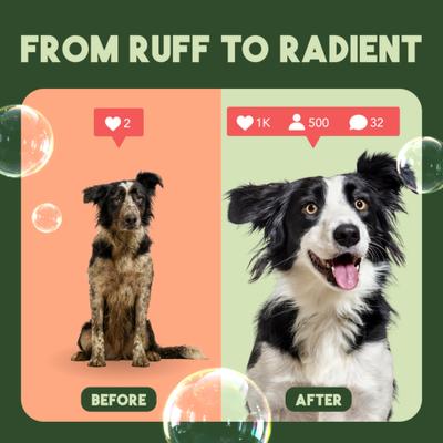 Show full view: TropiClean Sweet Mandarin Highly Concentrated Dog & Cat Shampoo, 1-gal bottle slide 6 of 8