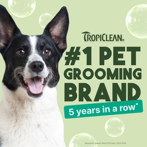 TropiClean Medicated Itchy Skin Relief Oatmeal & Tea Tree Dog Shampoo, 20-fl oz bottle