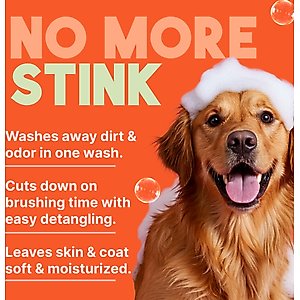 TropiClean Luxury 2-in-1 Papaya & Coconut Dog Shampoo & Conditioner, 20-fl oz bottle