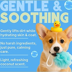 TropiClean Hypo-Allergenic Gentle Coconut Puppy & Kitten Shampoo, 20-fl oz bottle