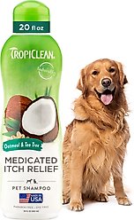 TropiClean Medicated Itchy Skin Relief Oatmeal & Tea Tree Dog Shampoo, 20-fl oz bottle