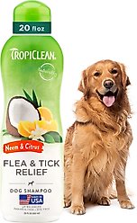 TropiClean Fast Itch Relief from Flea Bites Neem & Citrus Dog Shampoo, 20-fl oz bottle