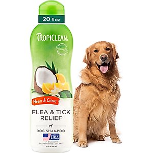 TropiClean Fast Itch Relief from Flea Bites Neem & Citrus Dog Shampoo, 20-fl oz bottle