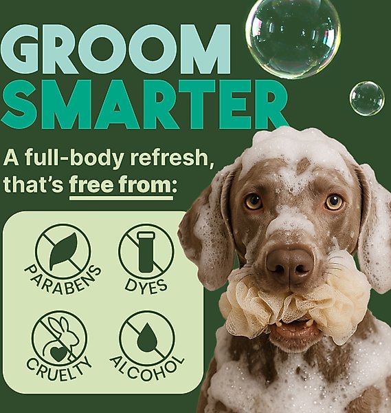 Show full view: TropiClean Medicated Itchy Skin Relief Oatmeal & Tea Tree Dog Shampoo, 20-fl oz bottle slide 6 of 12