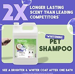 TropiClean Whitening Awapuhi & Coconut Shampoo, 1-gal bottle slide 2 of 9
