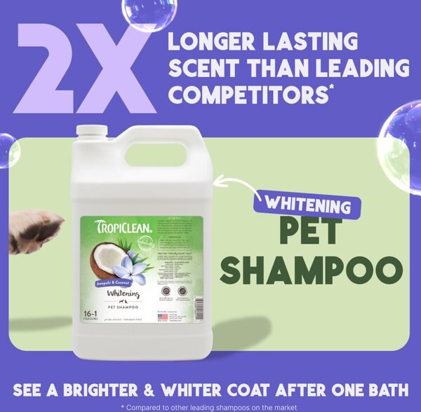 TropiClean Whitening Awapuhi & Coconut Shampoo